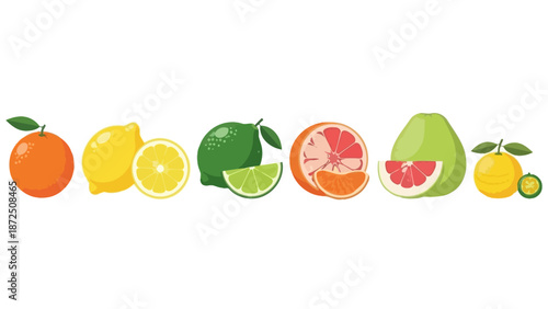 Vibrant collection of assorted citrus fruits, including oranges, lemons, limes, grapefruits, and pomelos, showcasing their fresh and juicy textures