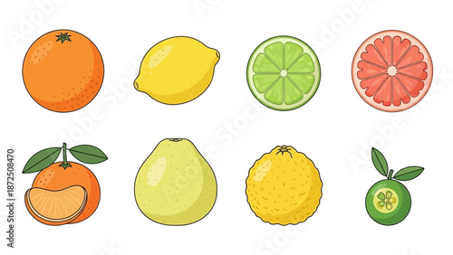 Collection of diverse fresh citrus fruits, sliced and whole, featuring oranges, lemons, limes, grapefruits, and pomelos for a healthy diet