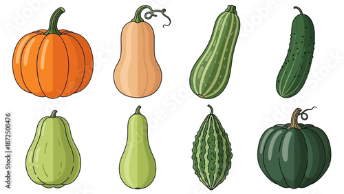 A vibrant collection of fresh gourds and vegetables showcasing a variety of shapes, colors, and sizes, perfect for culinary inspiration