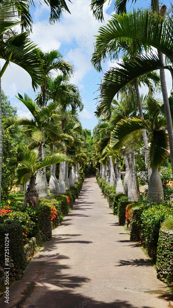 Obraz premium path in tropical garden