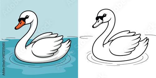 Cute swan floating on water illustration, adorable bird character in color and outline style, clean line art animal design for kids books, stickers and prints
