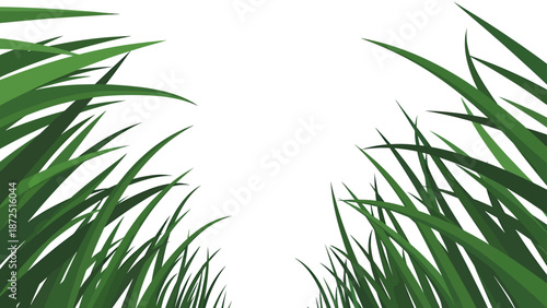 green grass background with fresh blades framing a wide open white copy space perfect for ecological themes or spring season promotional designs