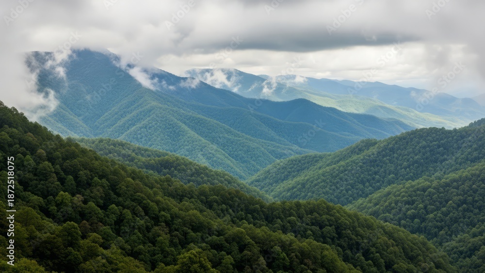 Naklejka premium A serene mountain range covered in lush greenery under a cloudy sky viewed from a distance