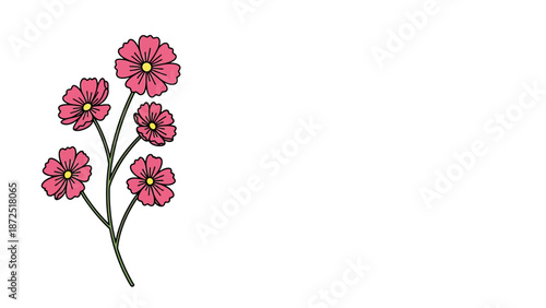 pink cosmos flowers digital illustration with green stems on a clean white background providing copy space for natural spring summer designs