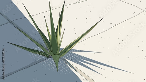 spiky plant growing urban concrete with sharp green leaves casting geometric shadows a minimalist graphic illustration depicting natures resilience.