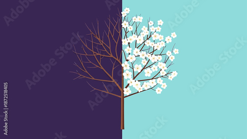 winter spring transition tree split showing bare branches and white blossoms symbolizing life cycles renewal and new beginnings