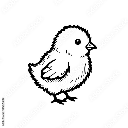 Small Bird Standing Alone Simple Illustration.