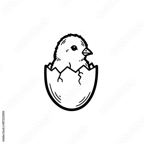 Hatching Chick Emerging from Eggshell Illustration.
