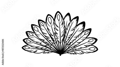 Detailed illustration of a peacock feather.