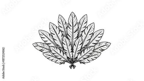 Detailed illustration of cannabis leaves.