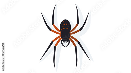 Fotografie Black Spider with Orange Legs Isolated.