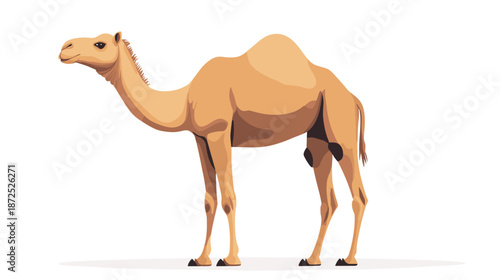 Camel Standing Alone in Low Poly Style.
