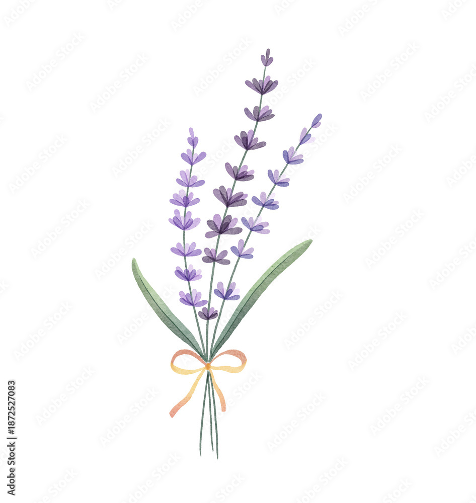 Obraz premium Bouquet of purple lavender flowers, watercolour illustration, isolated on a transparent background, for printing, wedding and invitations