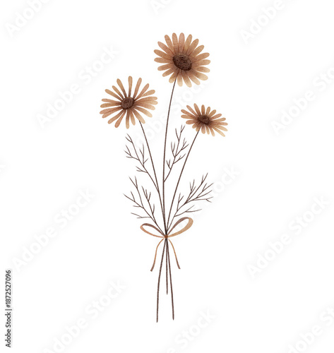 Wallpaper Mural Watercolor Chamomiles illustration, Daisies illustration, vintage wildflowers, isolated on a transparent background Torontodigital.ca