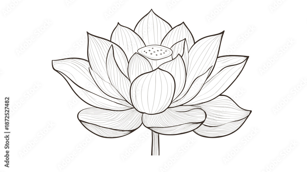 Fototapeta premium Simple Black and White Lotus Flower Illustration.
