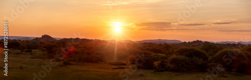 Photos bushveld landscape panorama at sunset with sunburst, golden sunset, acacia trees