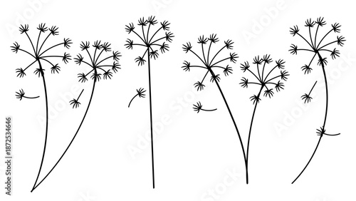 Dandelion Flowers Set Botanical Hand Drawn Collection.Vector Illustration