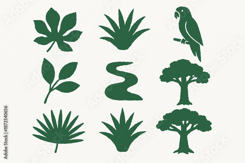 Panama rainforest vector icons with foliage bromeliads parrots trees and river silhouettes