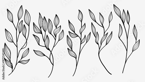 Leaves and Branch Hand Drawn Line Collection.Vector Illustration