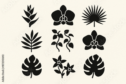Panama flora vector icons with heliconia orchids palm leaves vines and cacao blossoms silhouettes