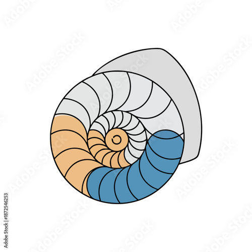 Colorful Spiral Shell Illustration