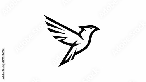 dove of peace