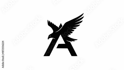 black and white bird