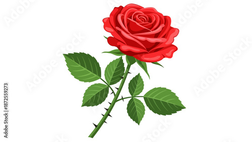 A vibrant red rose with green leaves on a stem is depicted in a detailed illustration