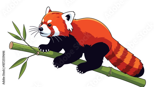 Red panda perched on bamboo branch in natural habitat, side view illustration