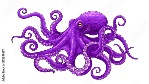Vibrant purple octopus illustration showcasing tentacles and suckers in a detailed, artistic representation on a clean background from a direct viewpoint