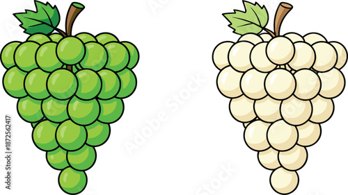 Vibrant green and white grape clusters in cartoon style with leaves and stems isolated on white background vector.