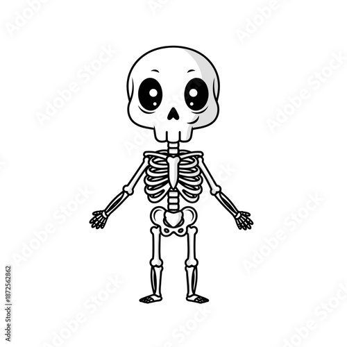 Cute cartoon skeleton character with big eyes and open arms, isolated on white background.