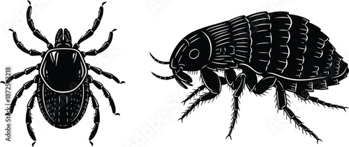 Black insect silhouettes illustration, detailed tick and flea icons, pest control concept, vector style, isolated on white background
