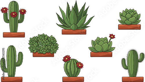 Cactus and succulent plants collection, desert garden flora, cartoon vector illustrations, potted plants set, isolated on white background