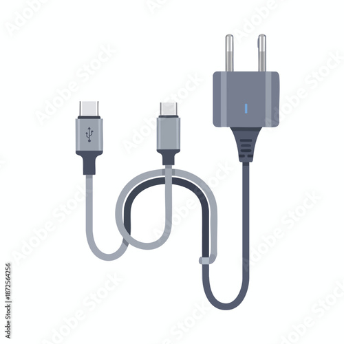 USB C and Micro USB Charging Cables with Power Adapter