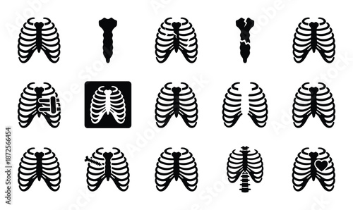 Rib cage human anatomy front and side view health medical skeleton chest care ribcage bone