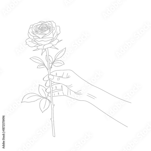 Elegant hand holding a single rose with delicate petals