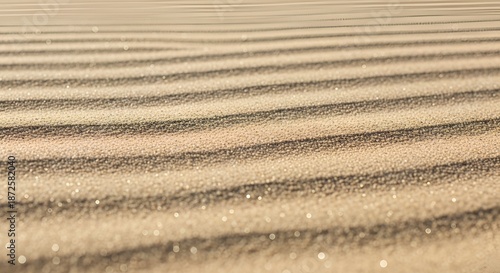 Image shows a serene sand pattern with intricate lines and texture outdoors.