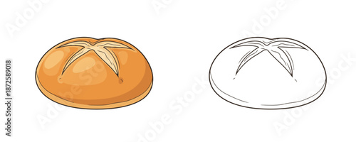 Fresh baked round bun bread in cartoon and outline styles warm golden colors representing bakery pastry or breakfast food product isolated on white background