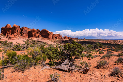 Scenic view in Arches National Park Utah