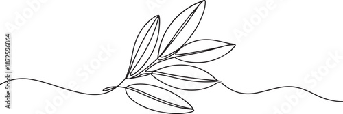Single one line drawing bay leaves. Vegetable concept. one line Art icon drawing vector
