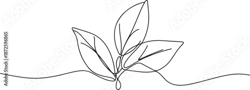 Single one line drawing bay leaves. Vegetable concept. one line Art icon drawing vector
