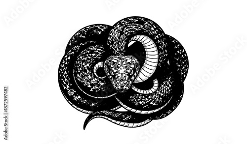 Coiled Snake Zodiac Circle Emblem Vector T Shirt Design