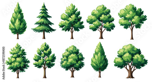 A collection of ten different types of lush green deciduous and evergreen trees, illustrated in a vibrant, detailed cartoon style for landscape design.