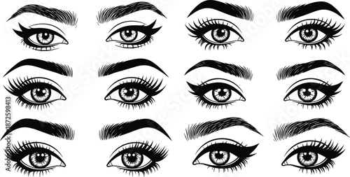 Eye makeup and eyebrow styles vector illustration set, female eyes collection, beauty fashion cosmetic design, black and white glamour silhouette artwork