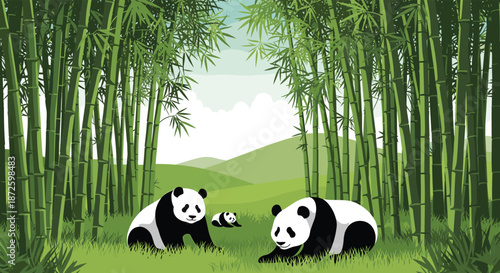 An adorable giant panda family, including a small cub, relaxing and eating in a dense and vibrant green bamboo forest with hills in the background.