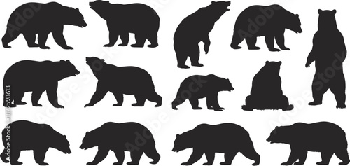 Bear silhouettes collection, wild animal black shapes set showing different poses for wildlife design, nature illustration, forest mammal vector icons