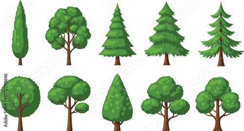 Green forest tree collection, isolated deciduous and coniferous pine trees, nature landscape vector elements for garden and park design graphics.