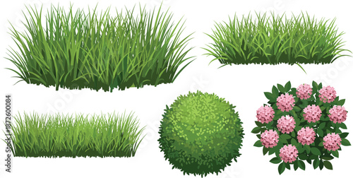 Green garden grass and bush collection, isolated flowering hydrangea shrub and lawn plants, nature vector elements for landscape design graphics.