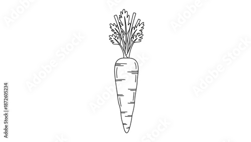 Carrot with Greens Line Art Black and White Outline Illustration